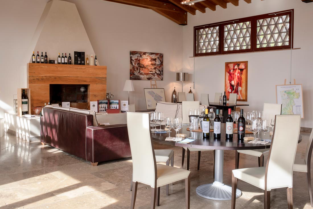 Campo Alla Sughera | Bolgheri