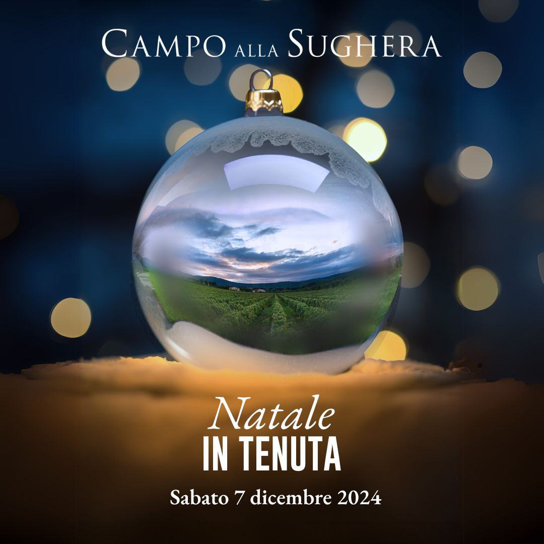 Festeggia con noi il Natale | Campo Alla Sughera | Bolgheri