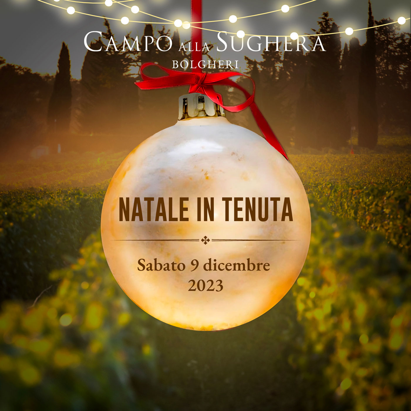 Festeggia con noi il Natale | Campo Alla Sughera | Bolgheri